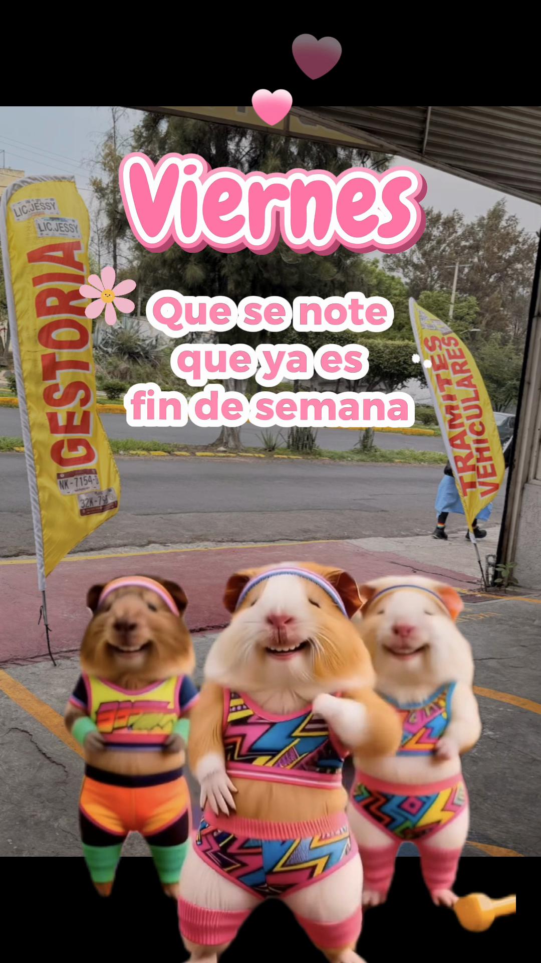 @Lic Jessica De Leon Gestora