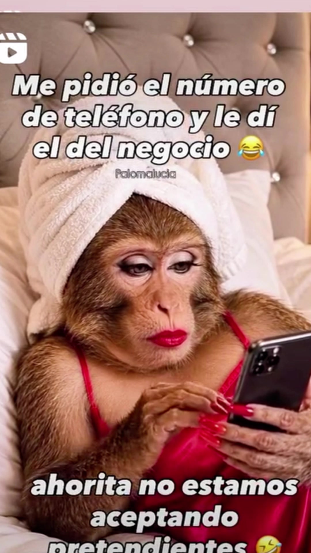 @Guadalupe Araiza