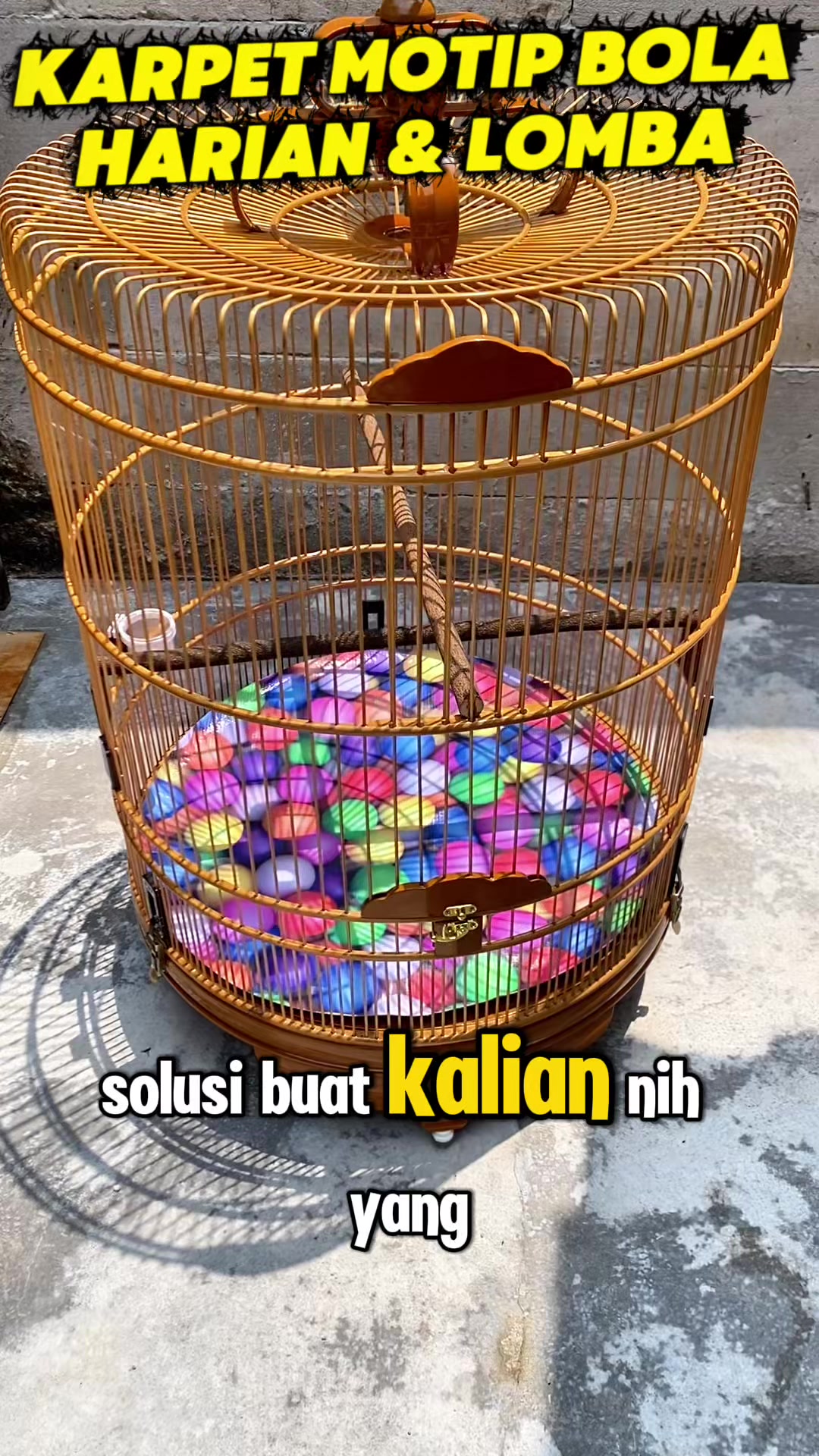 @kicau mart