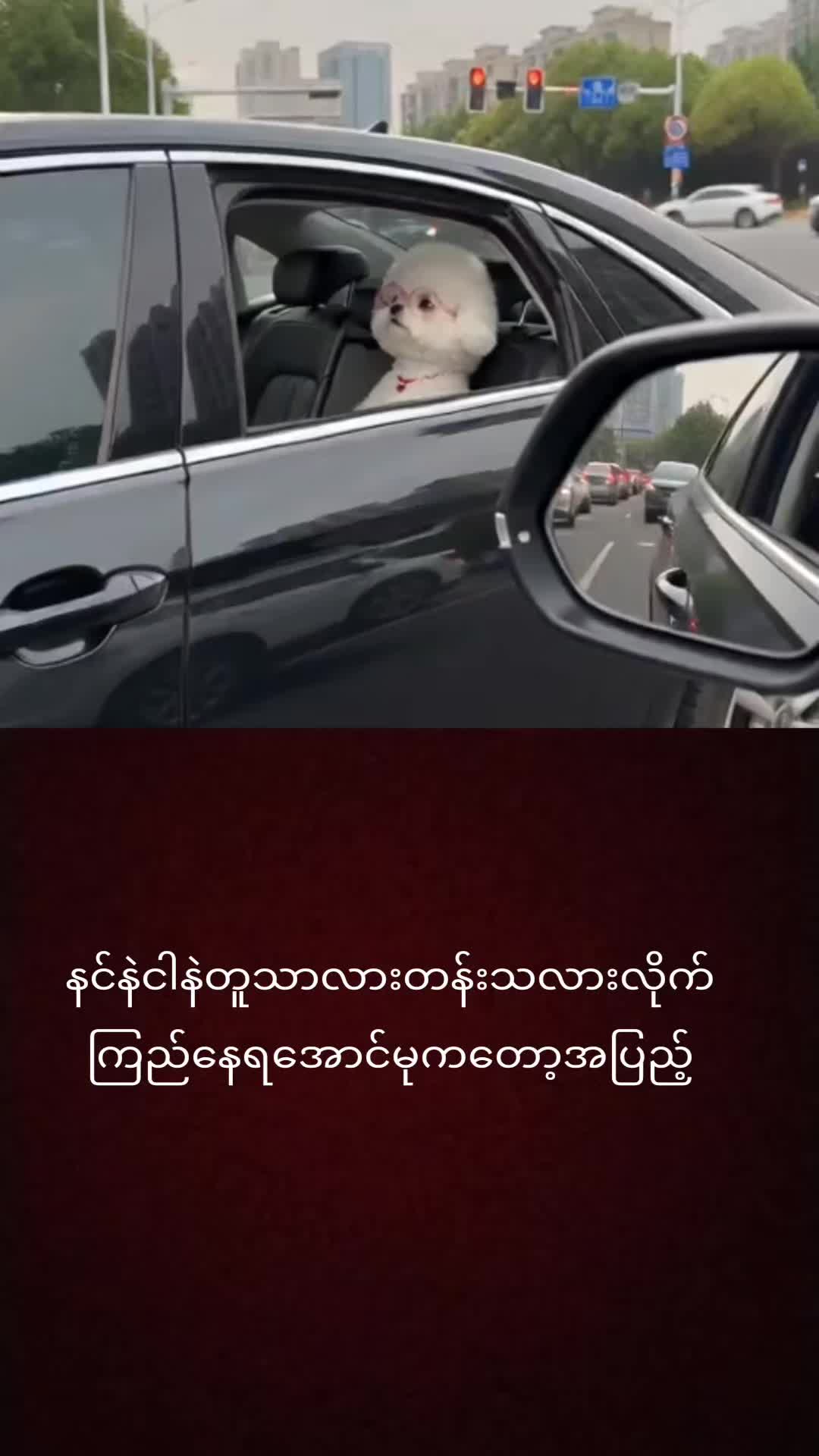 @myohlaingwin