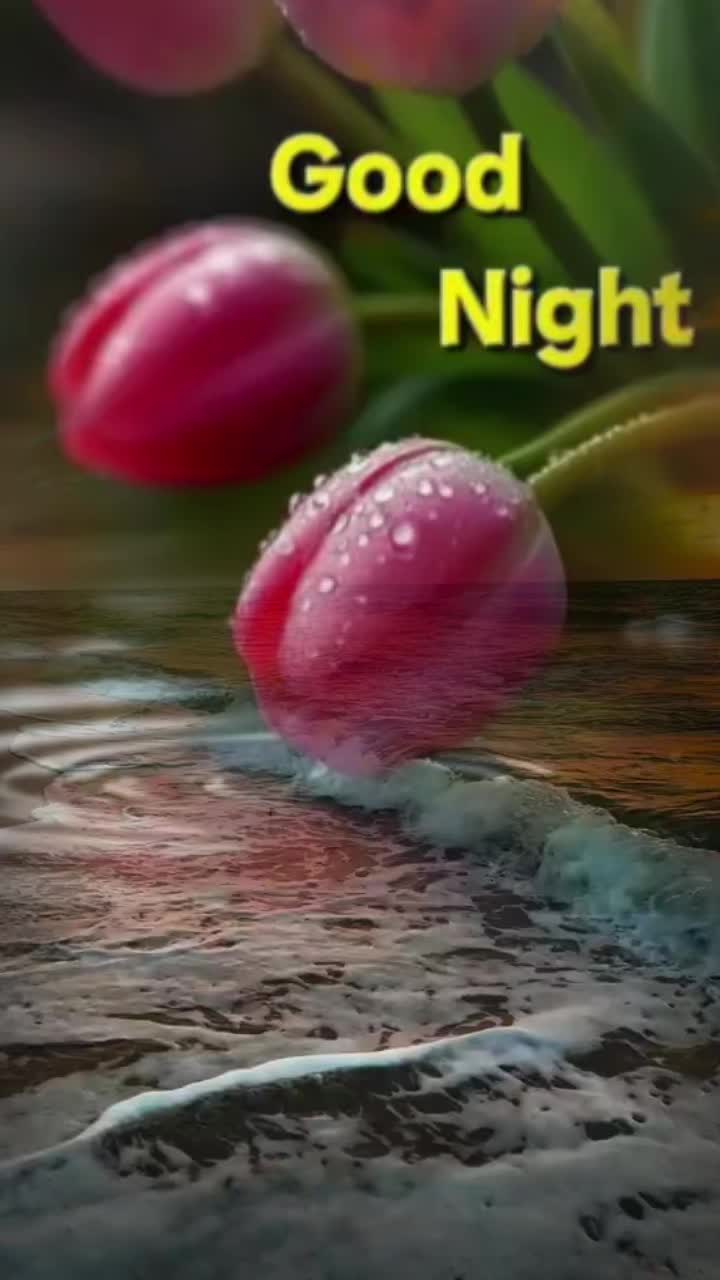 @Sai Meena