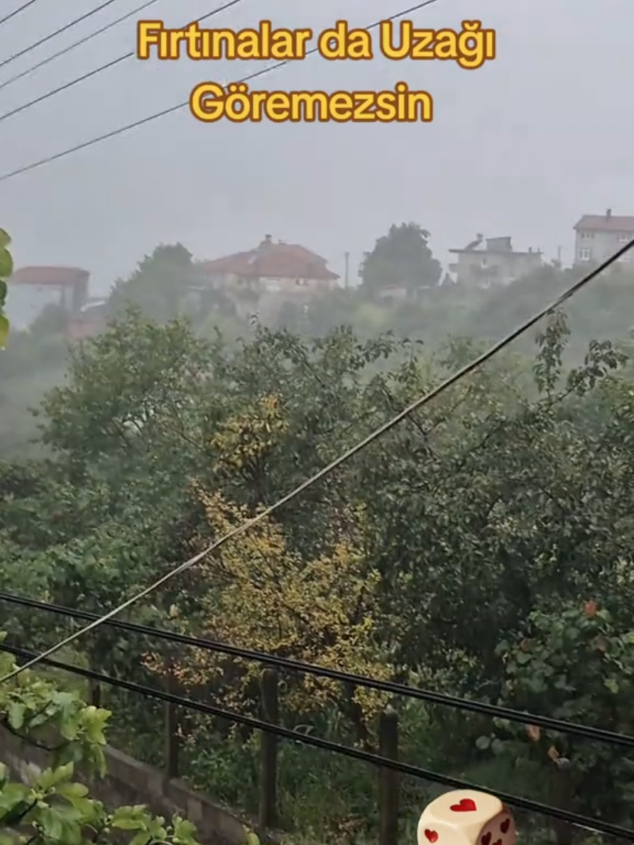 @Umut677✨️