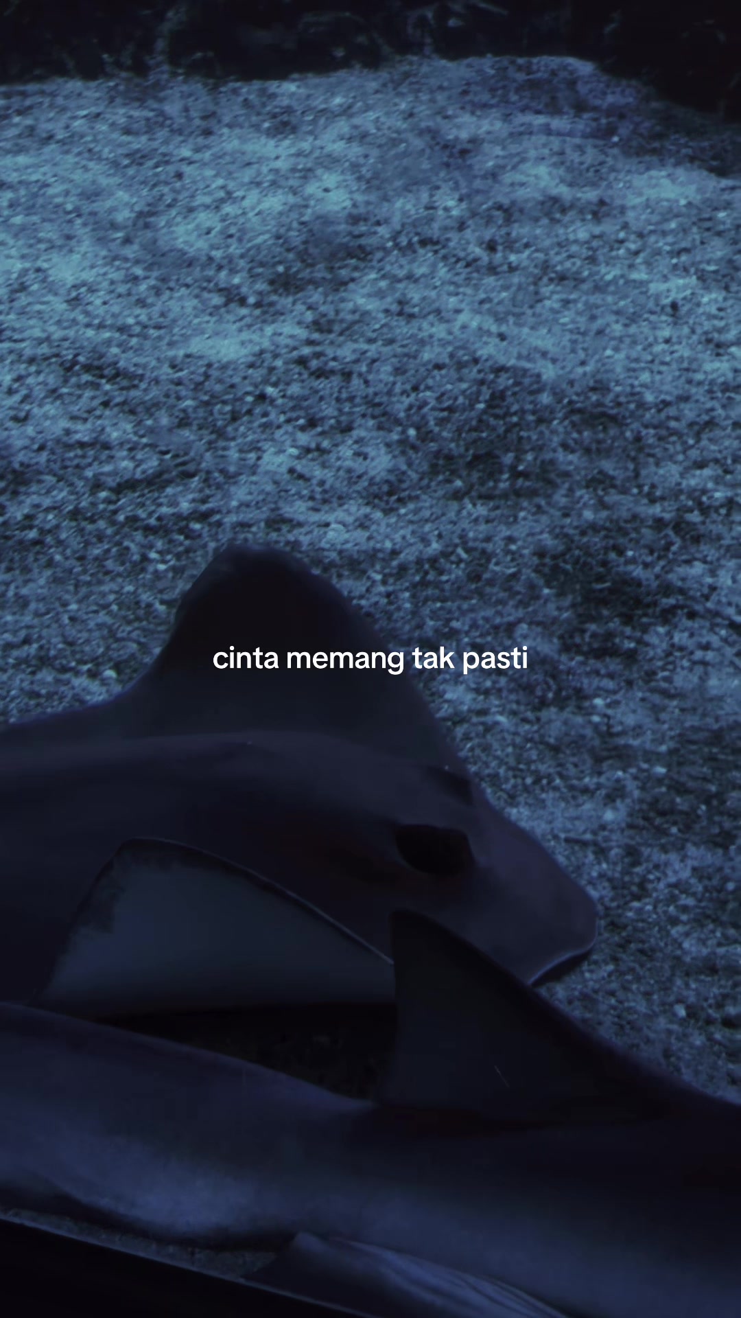 @Aby