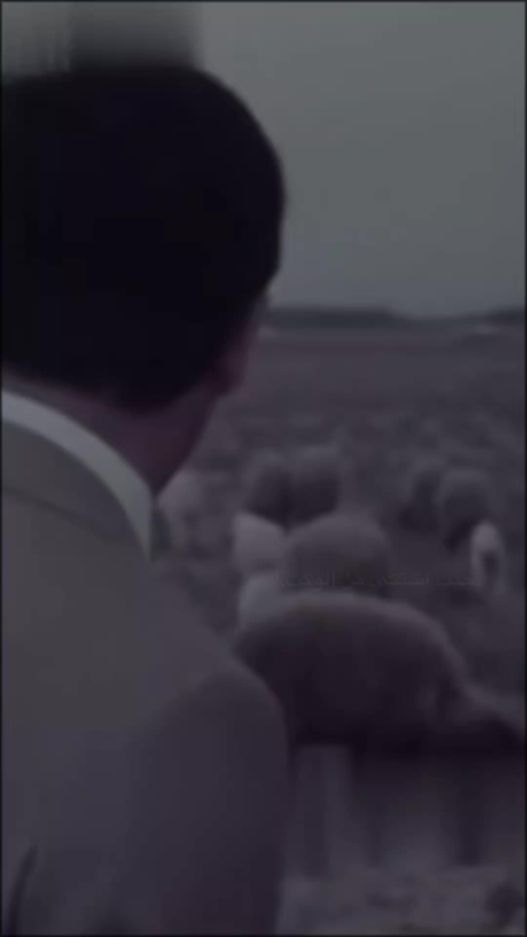 @صدام حسين المجيد