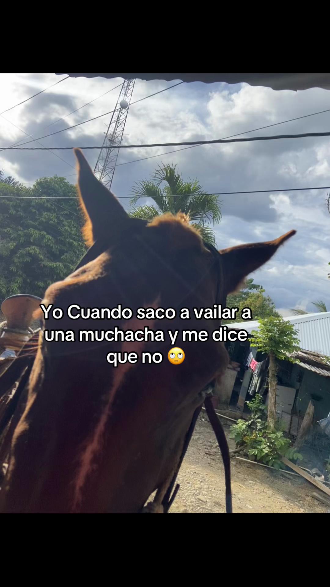 @❣️Reitos💋🧸