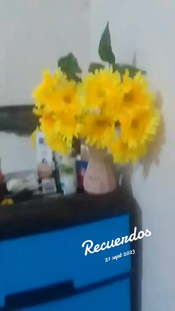 @maribel