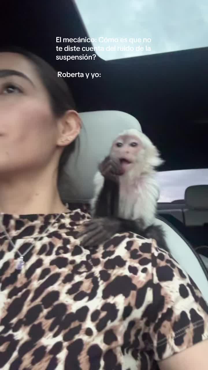 @Luisa Valeria Ram&iacute;rez Galindo
