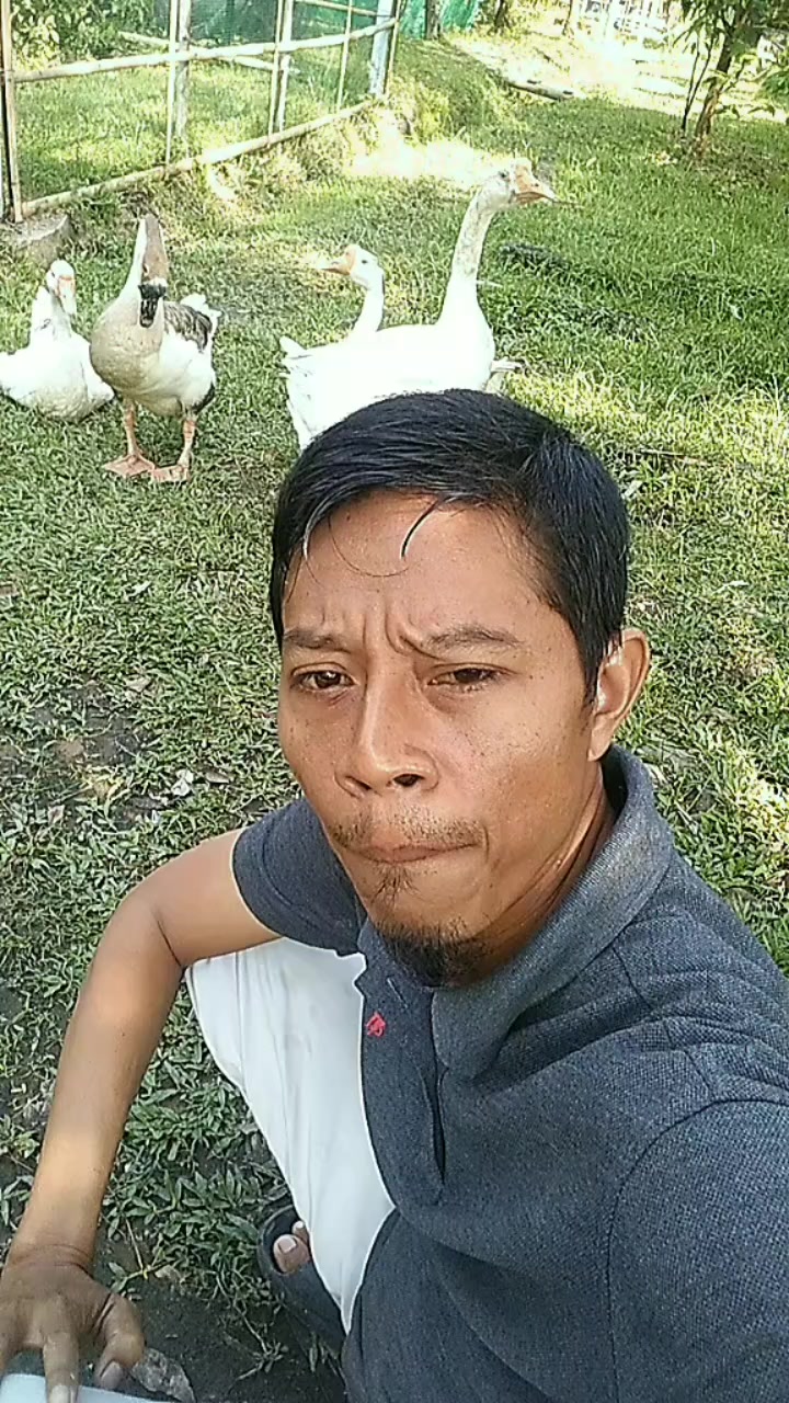 @Juhana 27