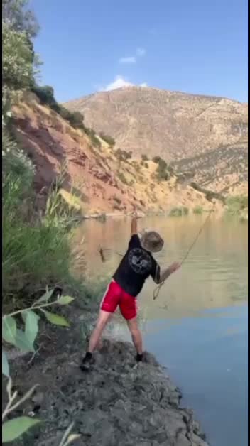 @Talb Hamad