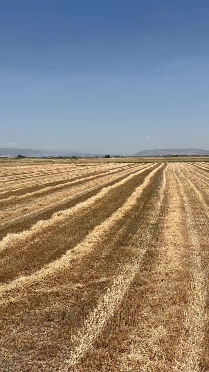 @Ulaş Emre Dölek