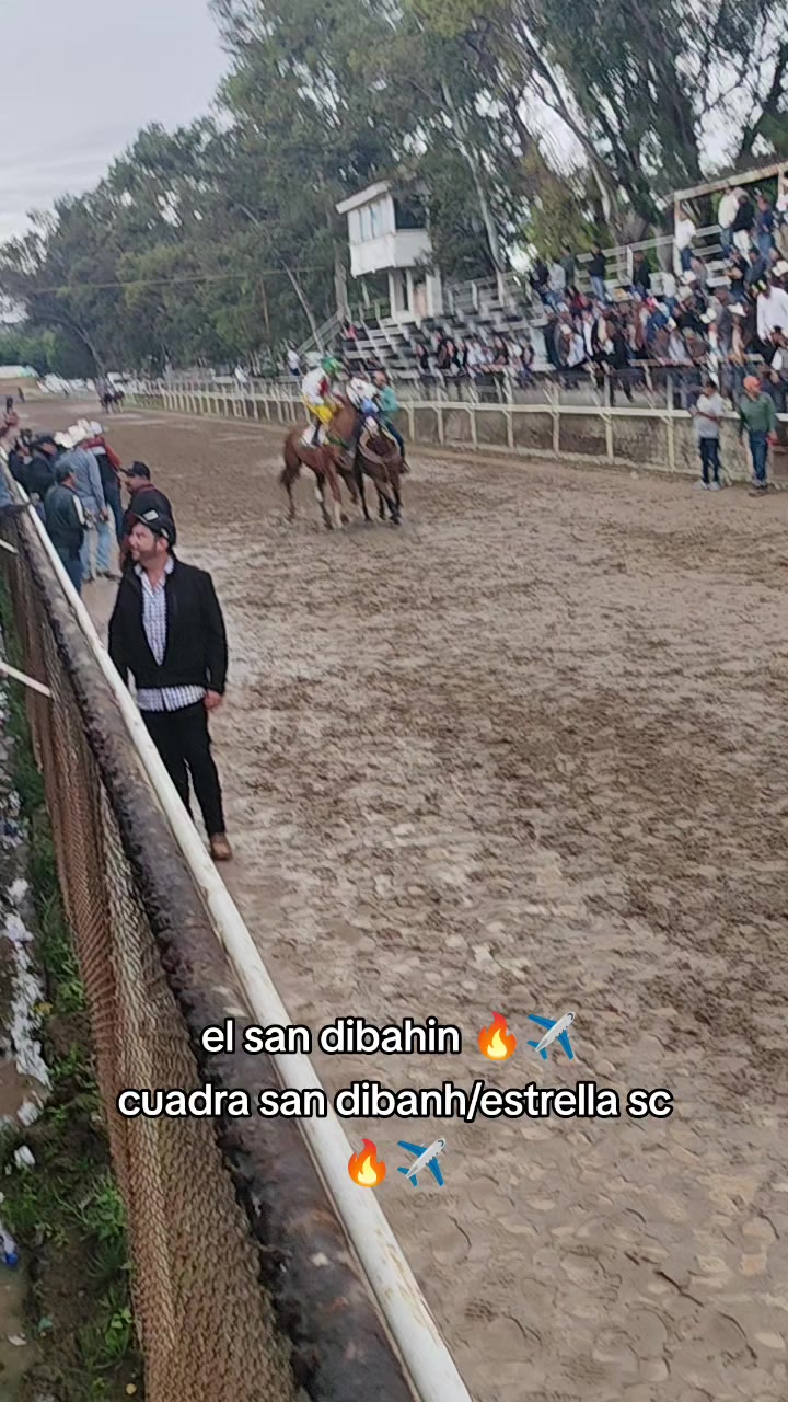 @carriles altos de jalisco🐎