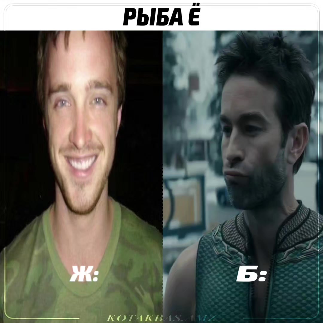 @𝑲𝑶𝑻𝑨𝑲𝑩𝑨𝑺.𝑨𝑴𝒁