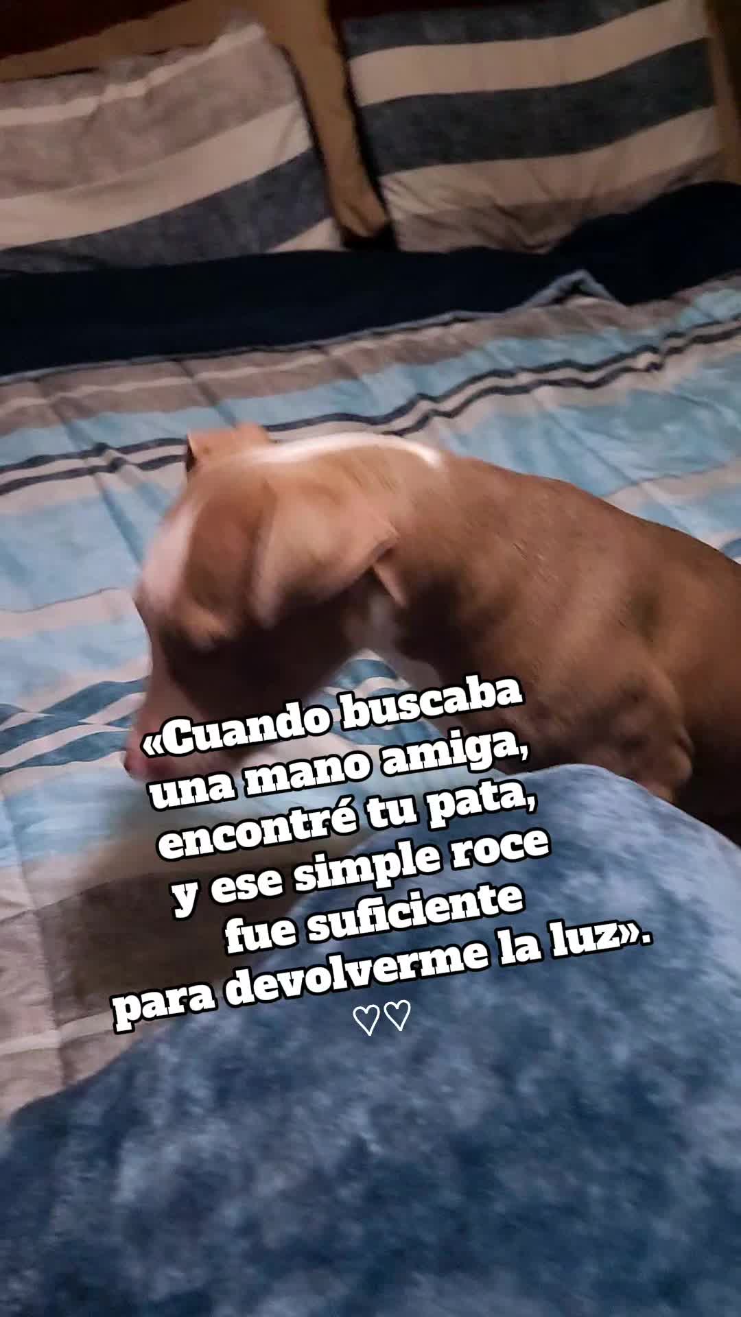 @Pepper✨️💖