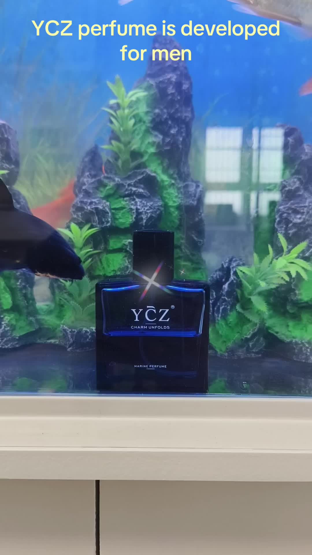 @xczv