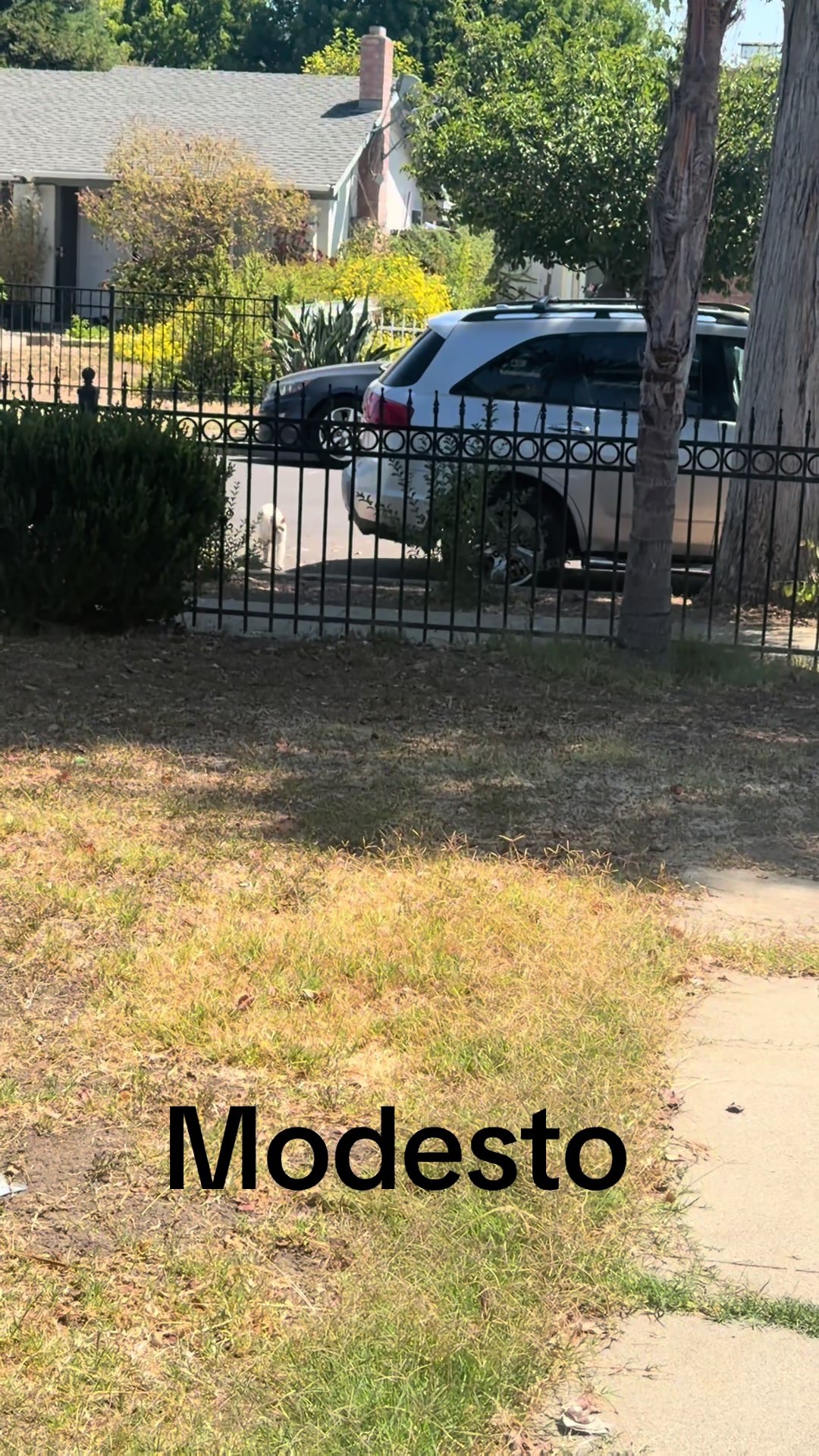 @Emilio y Modesto