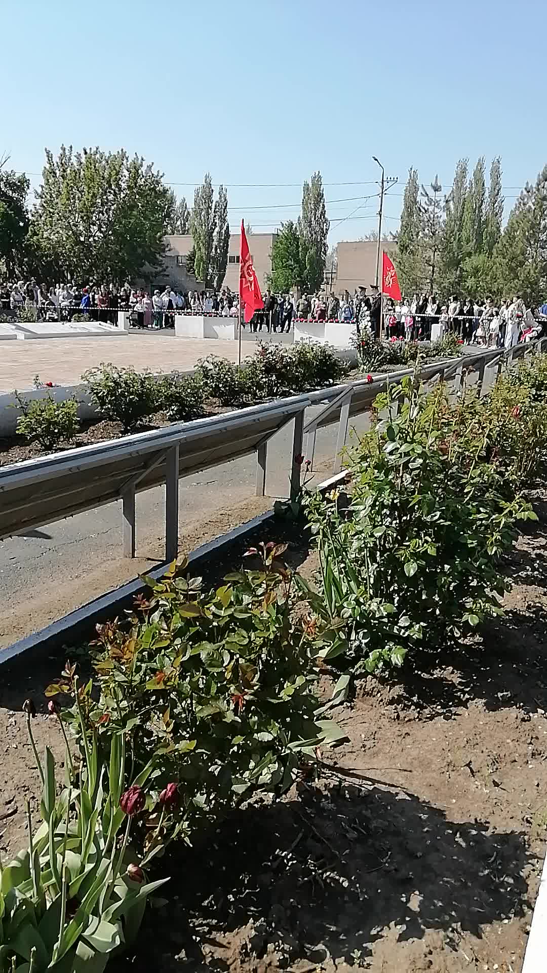 @Мария Туманова