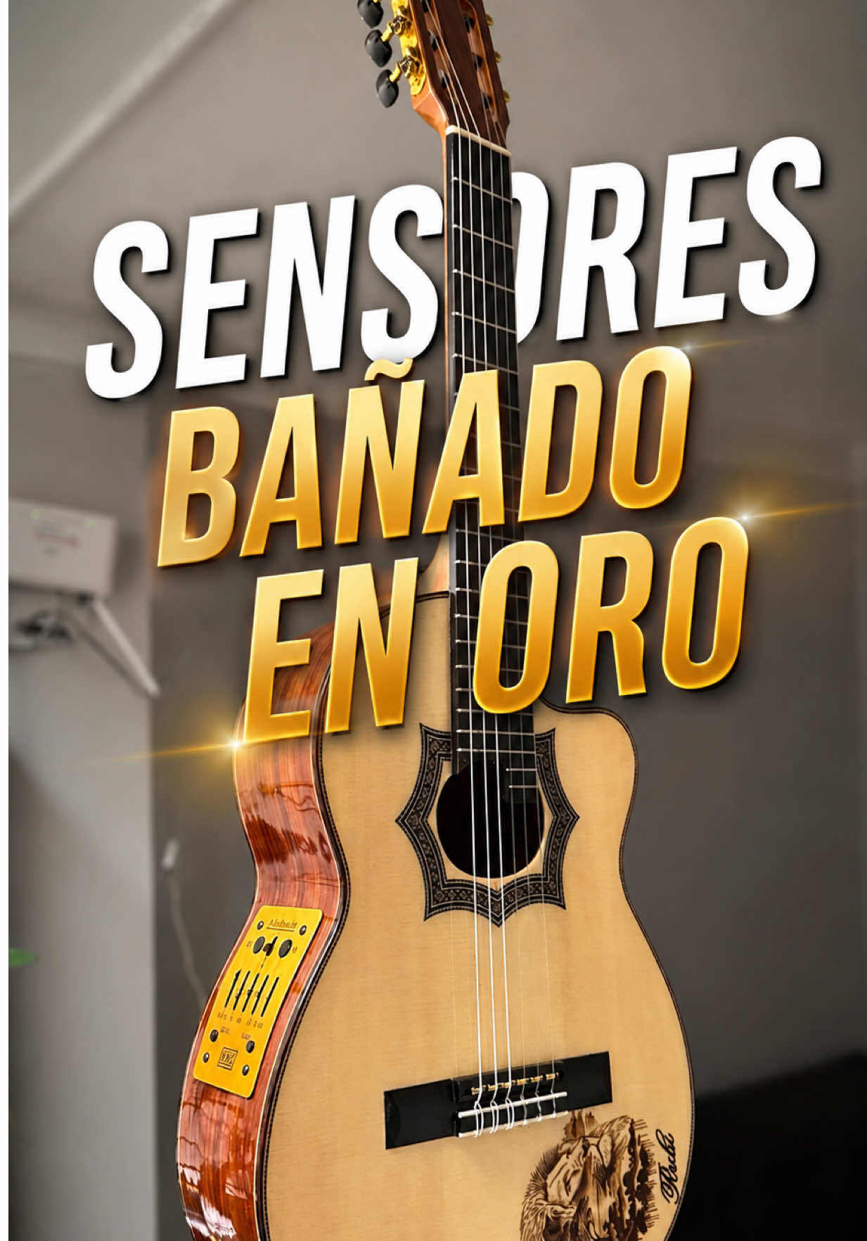 @Guitarras Andina