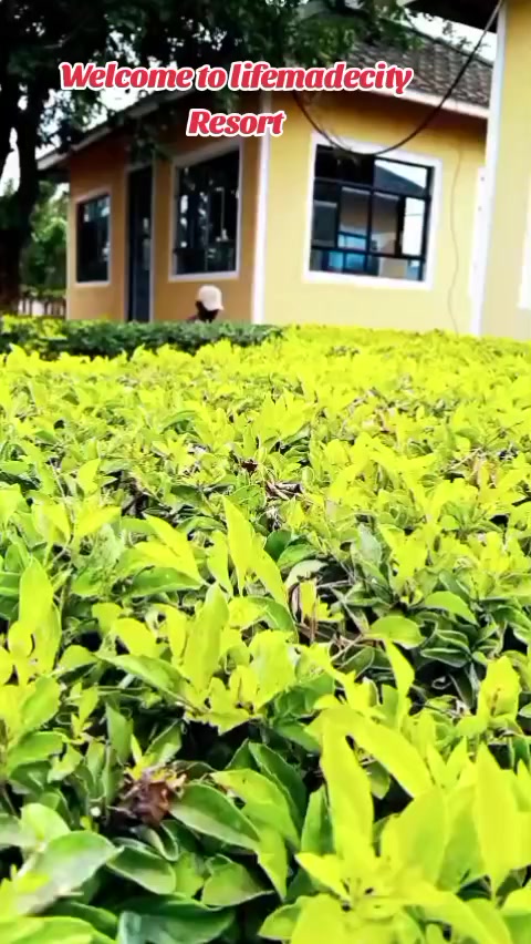 @dvj_jimnah