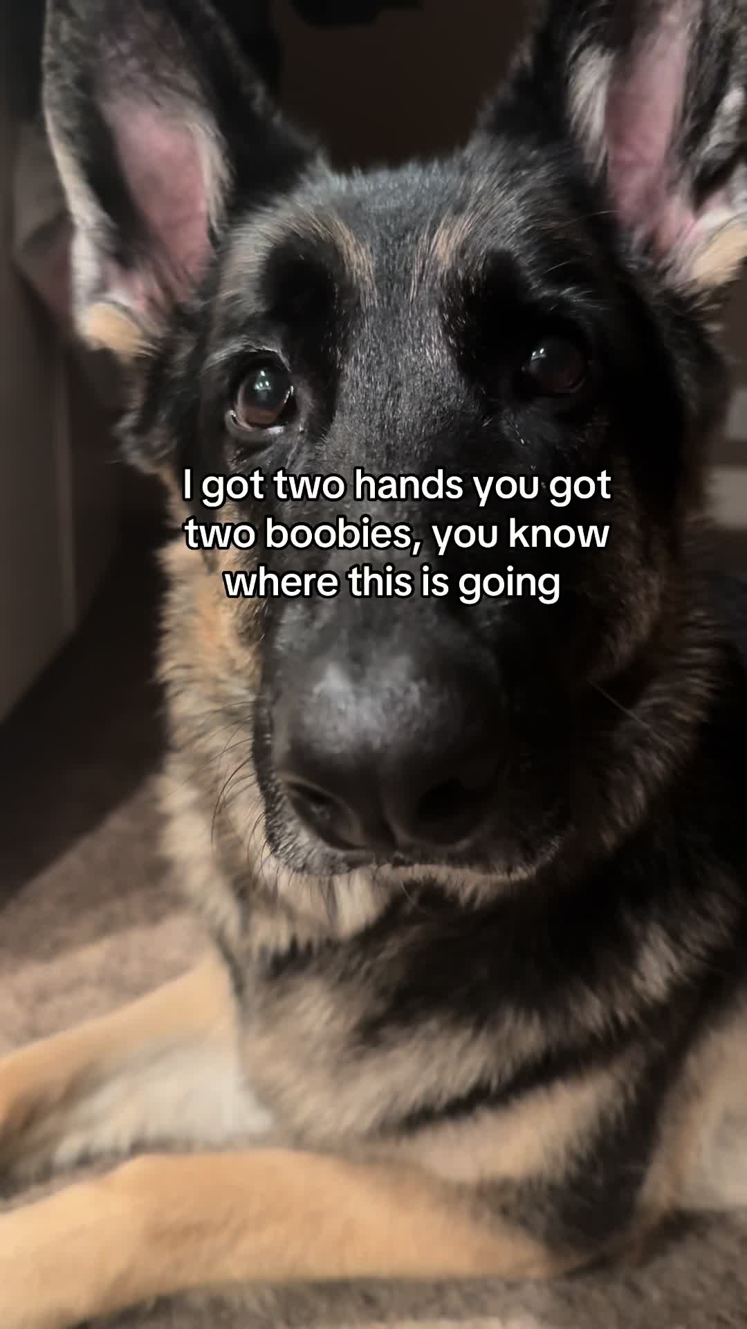 @Bhris