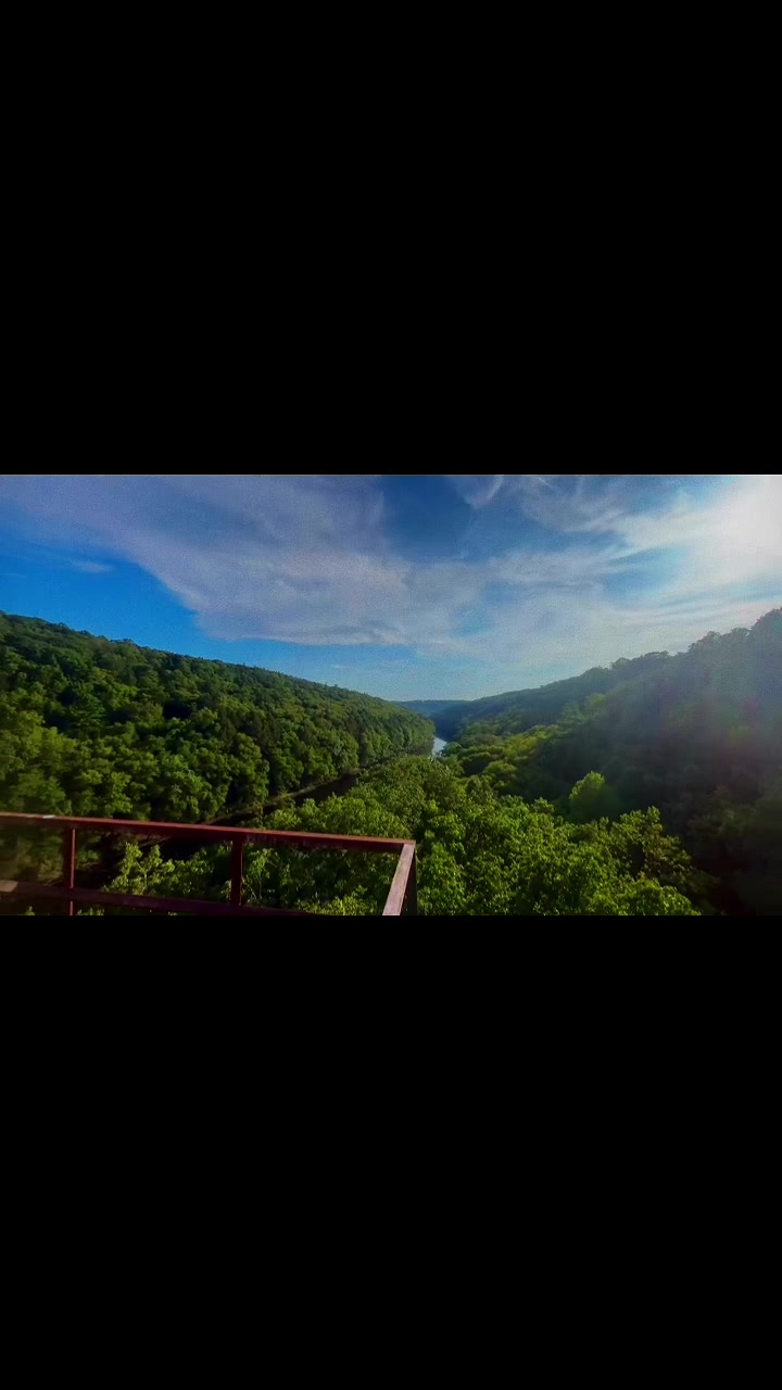 @Backyard Appalachia
