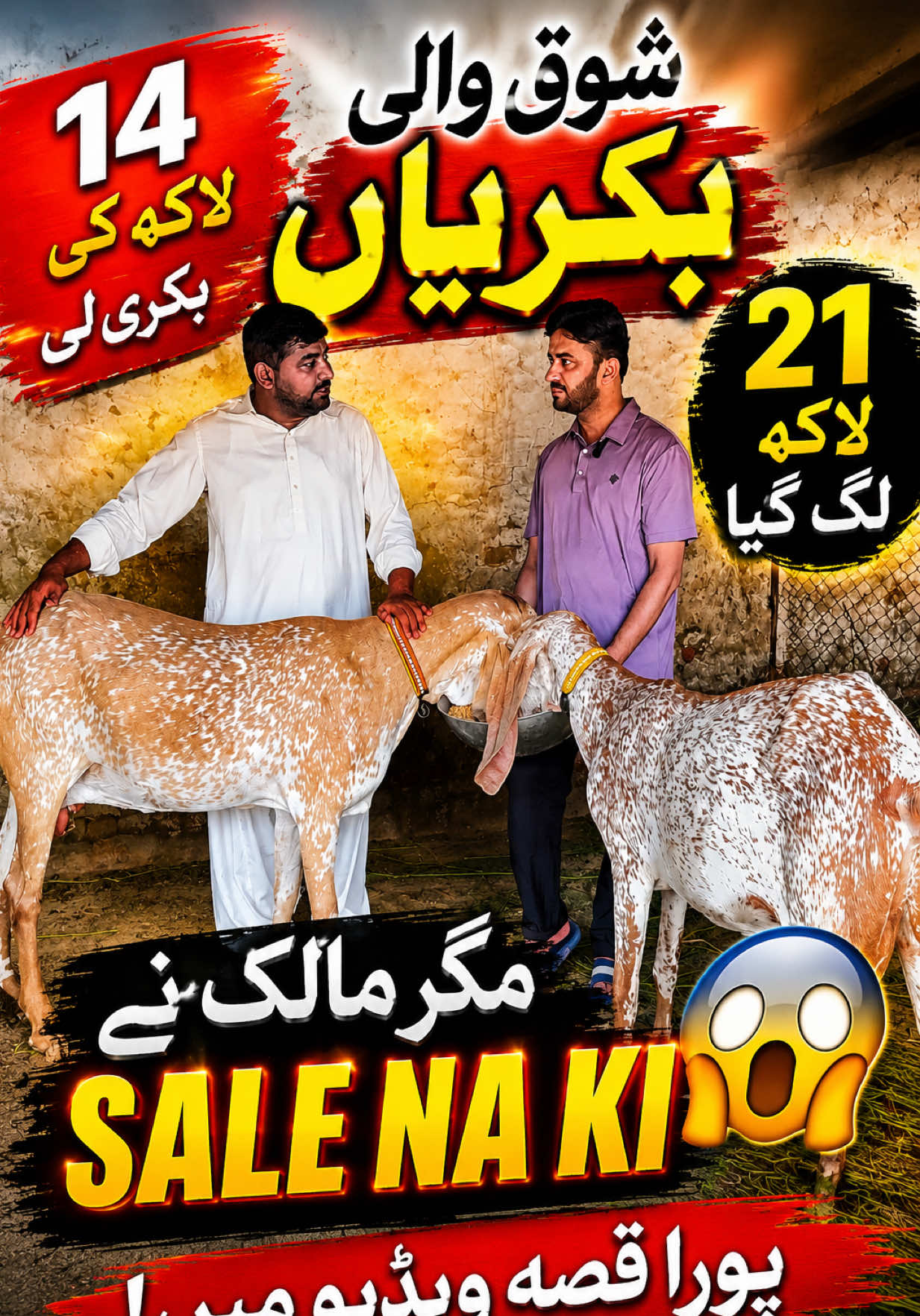 @Dr.Mohsin