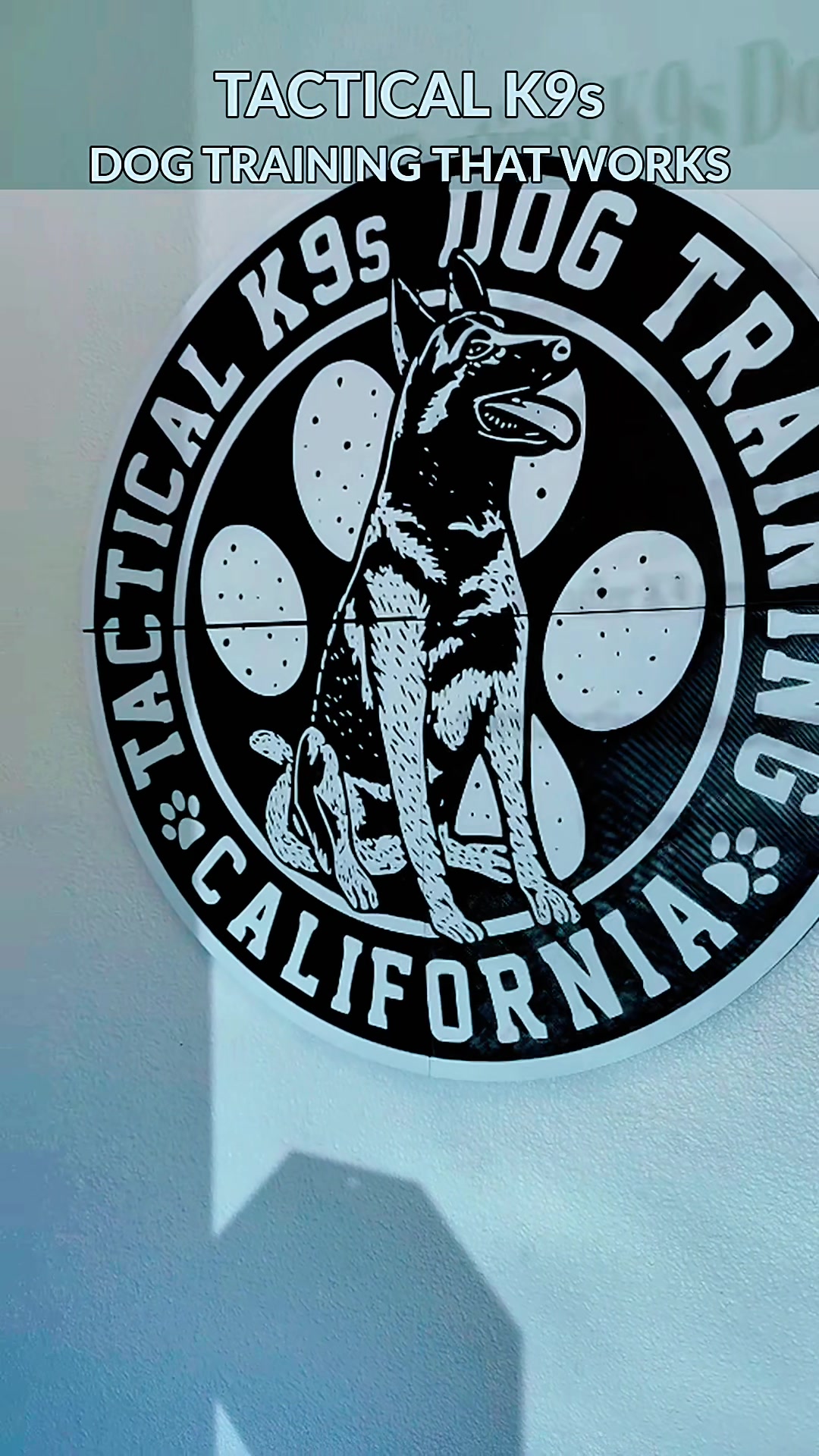 @Tactical K9s Dog Training