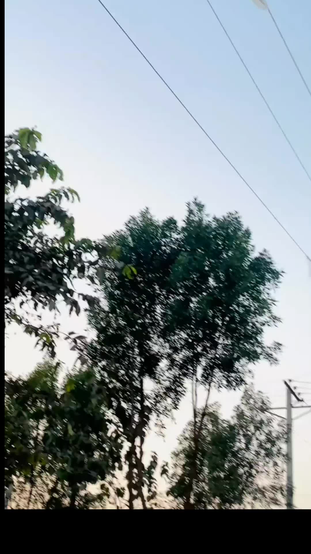 @haiderali 🦅