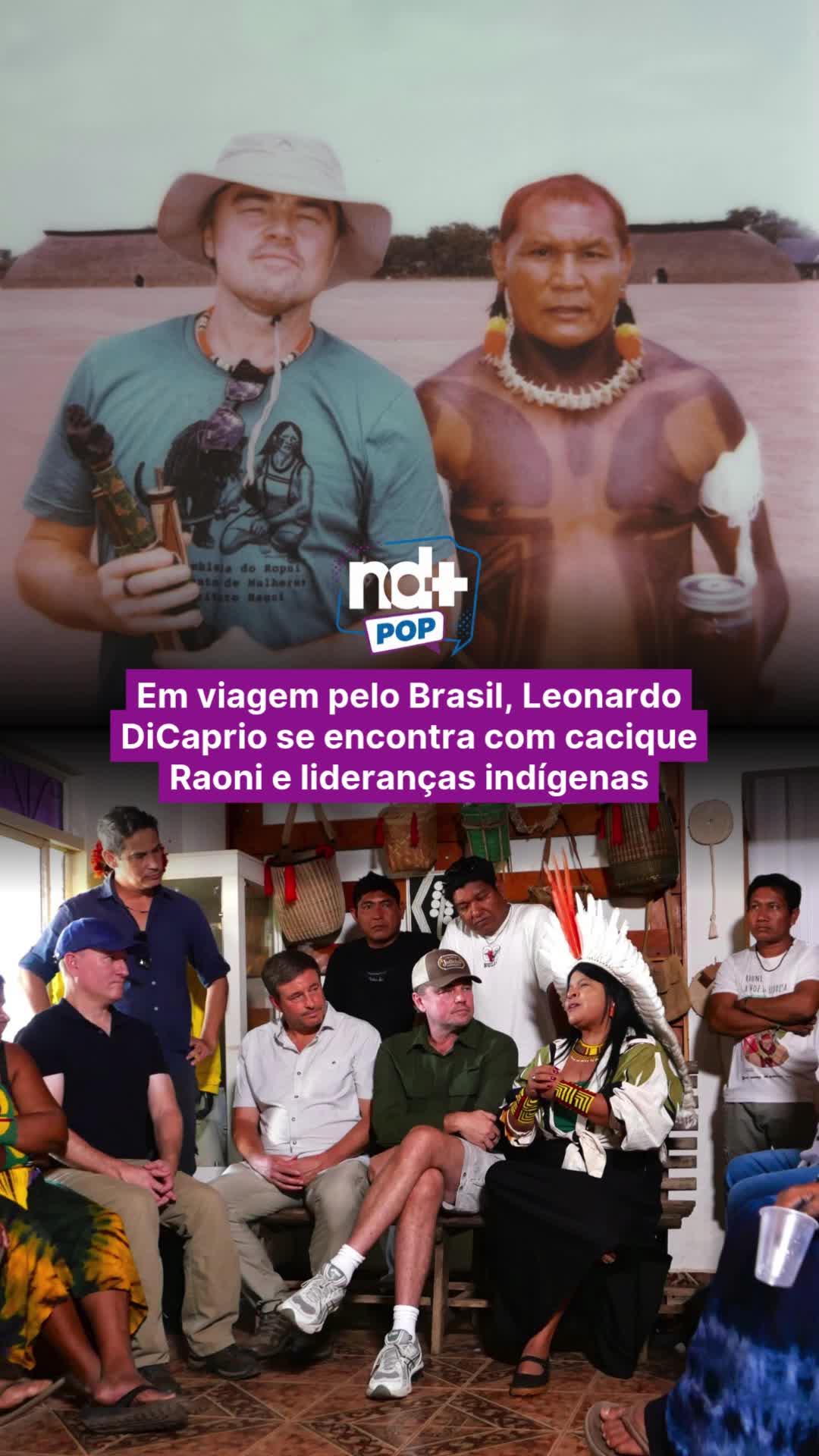 @portalndmais