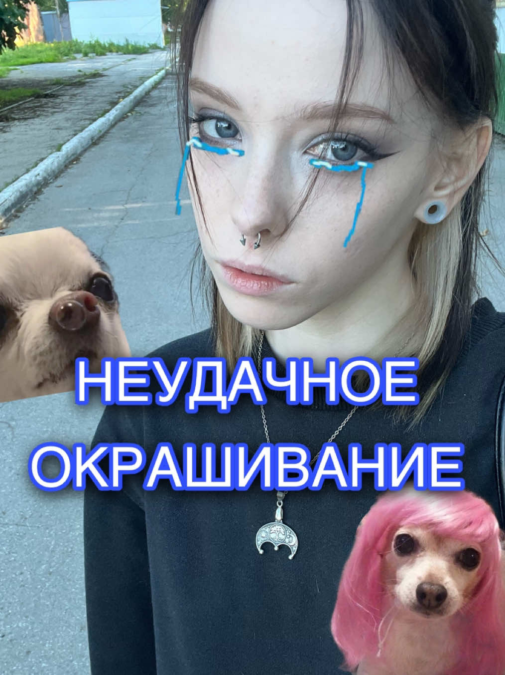 @соечка:;🪶