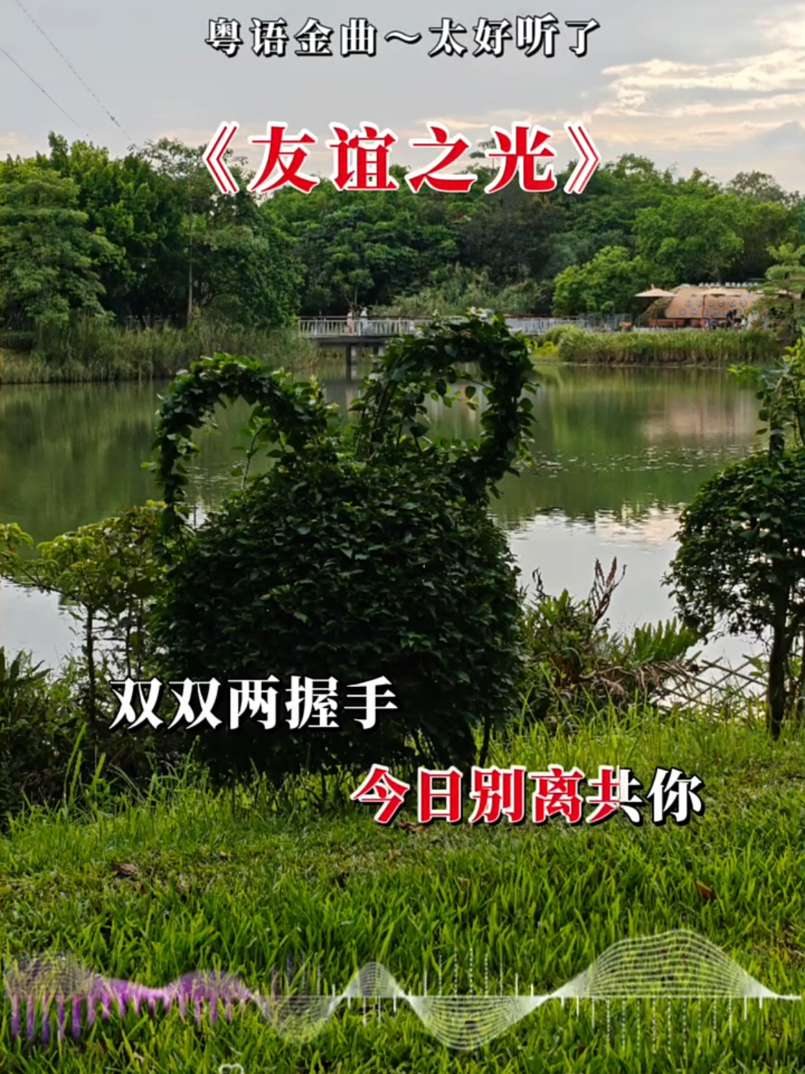 @美丽的世界