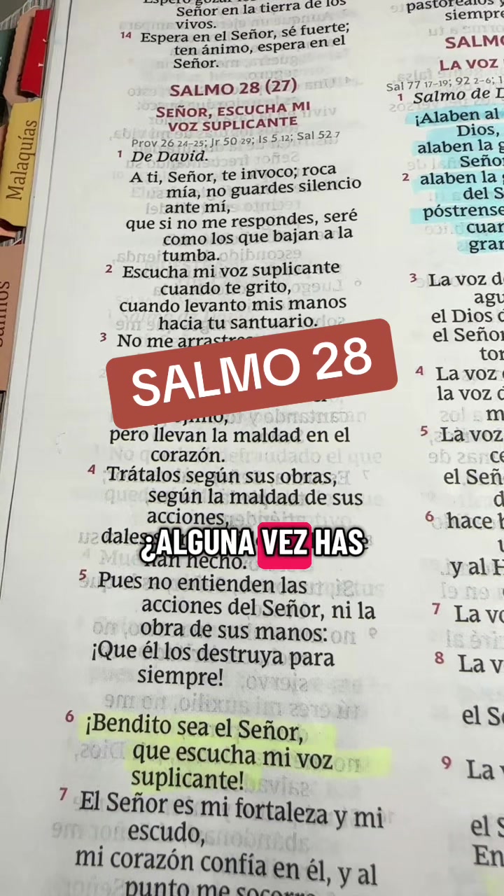 @BRILLA CON PROPÓSITO