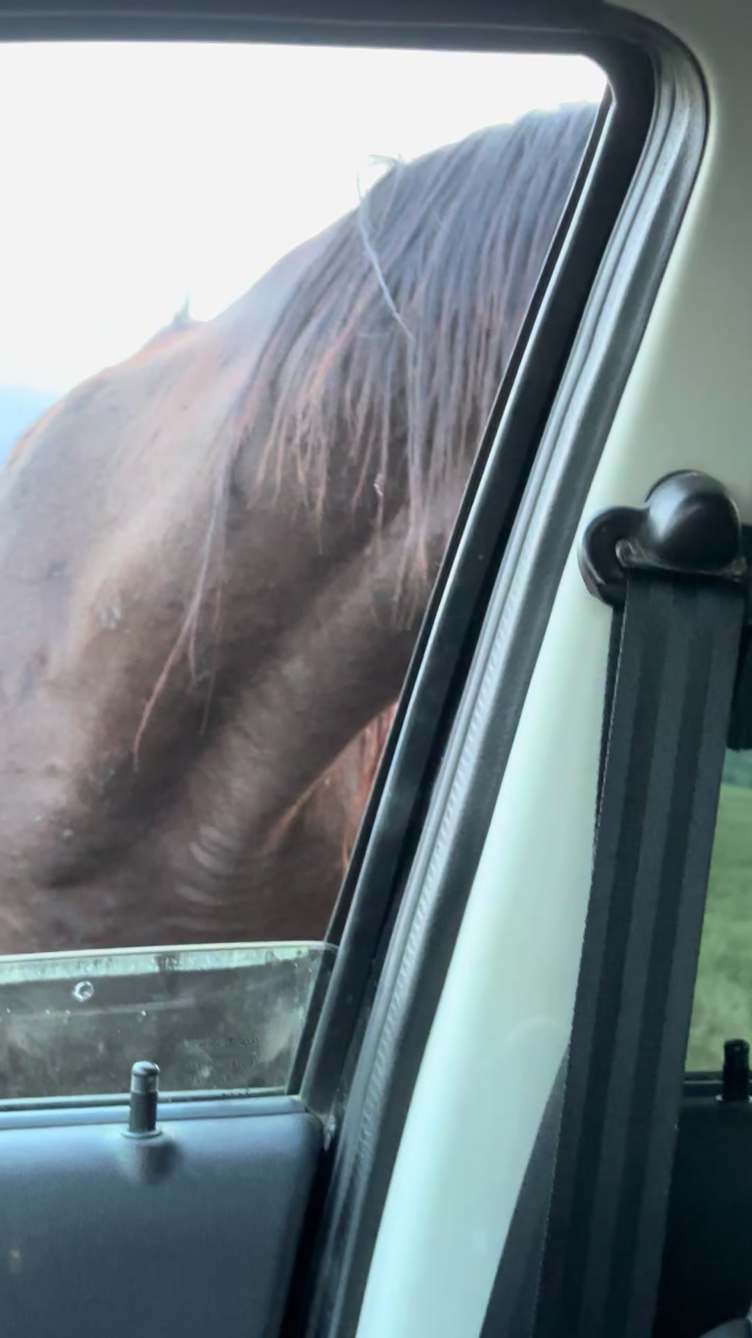 @MakvinStud