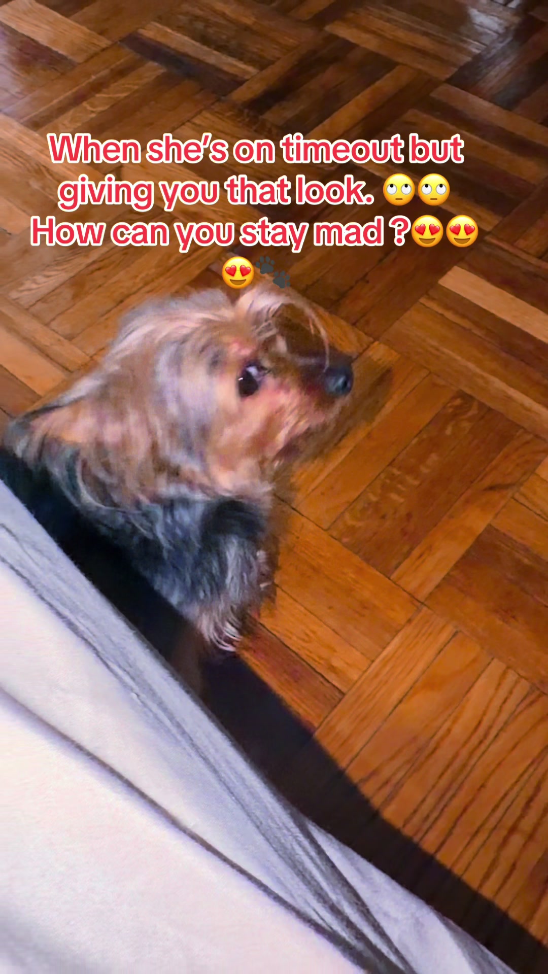 @Yazz