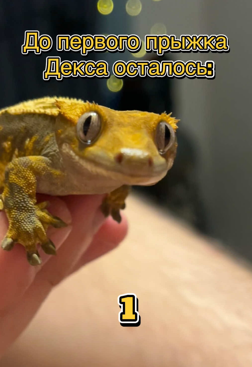 @Allen2033