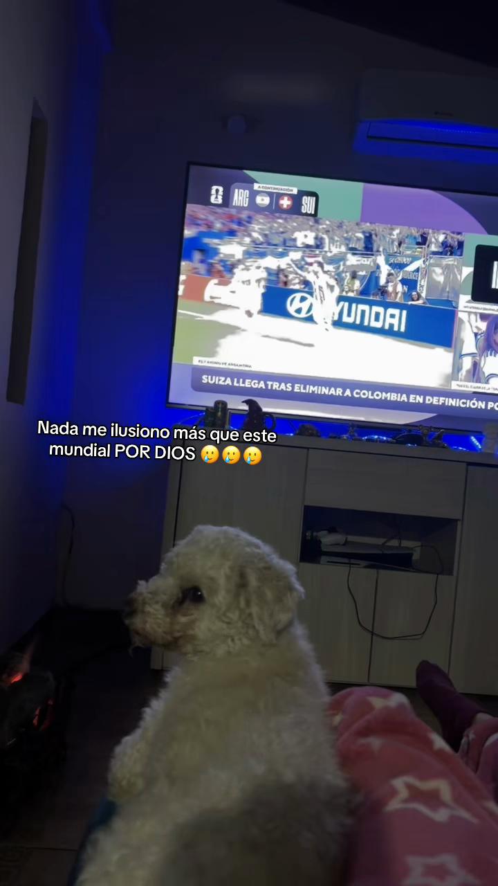 @Musuruanitos ✨