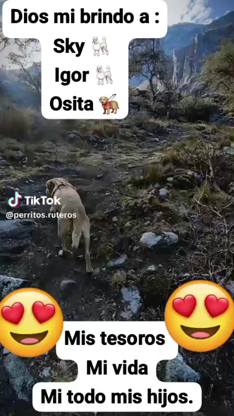 @Sky e Igor 01