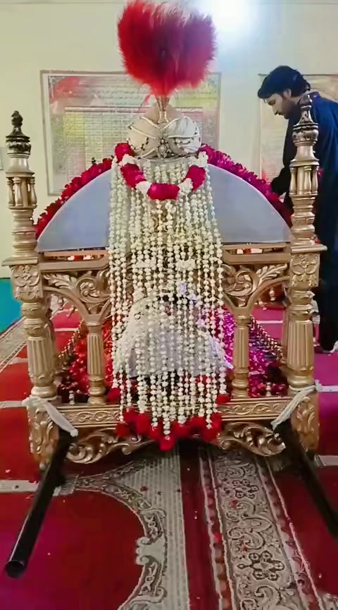 @سید علی ہادی نقوی 🦅