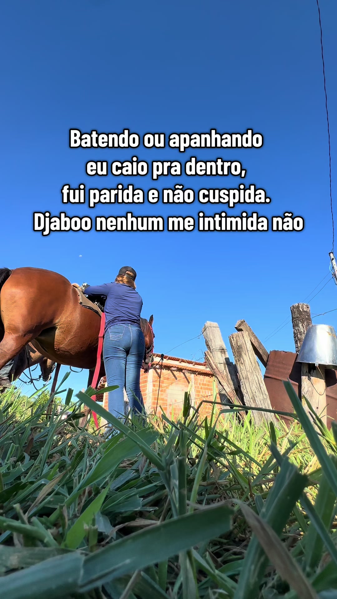 @diolina2_