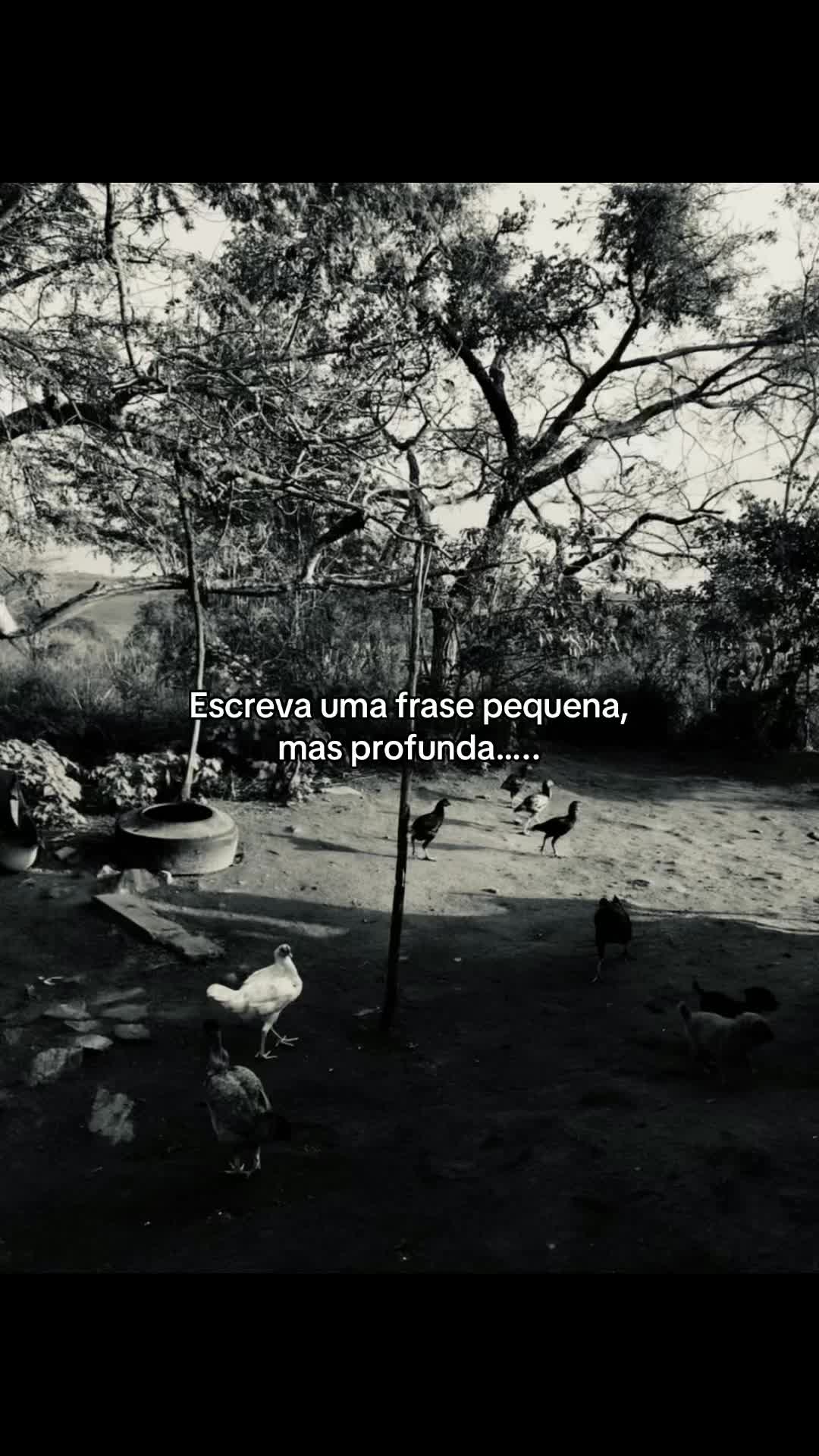 @VEREADOR