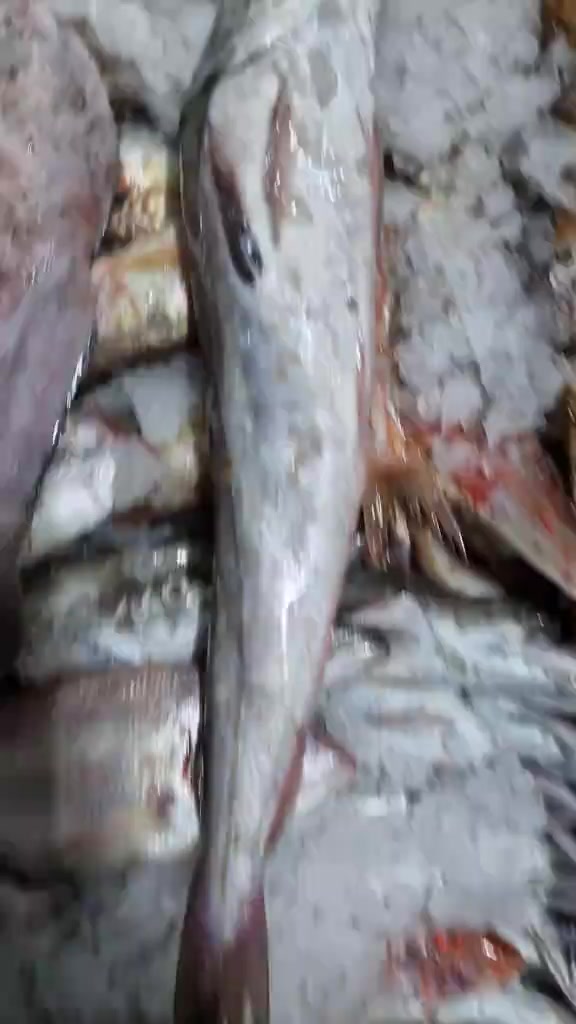 @Fouad p&ecirc;cheur