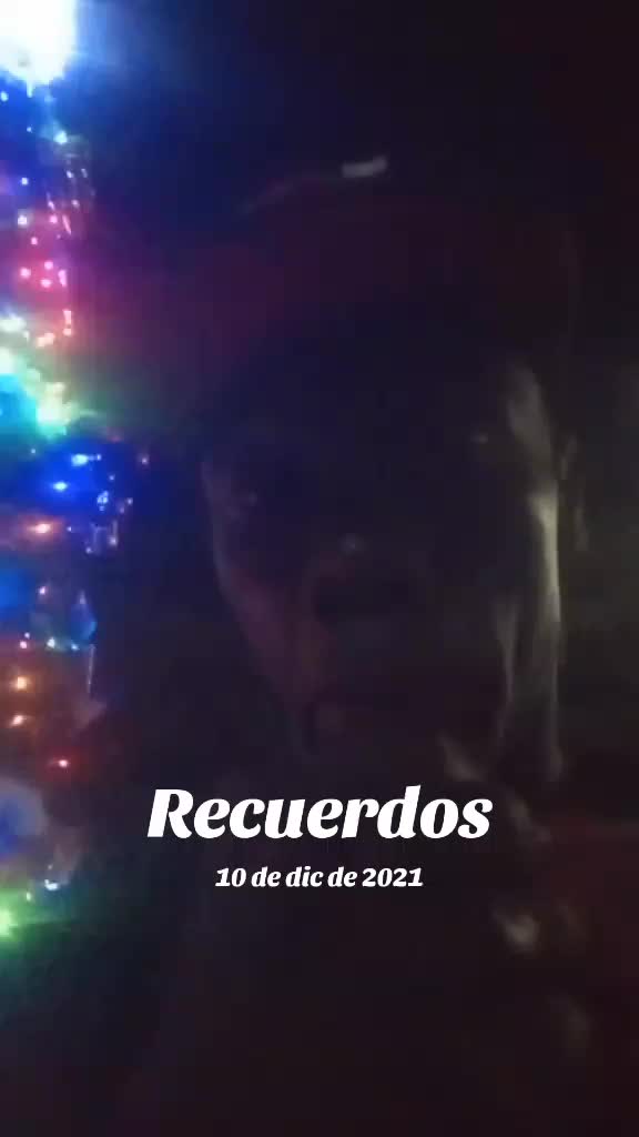 @benisonjeano311tiktok.com/@ben