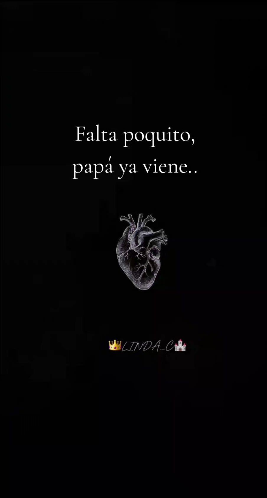 @Claudia Ayma445