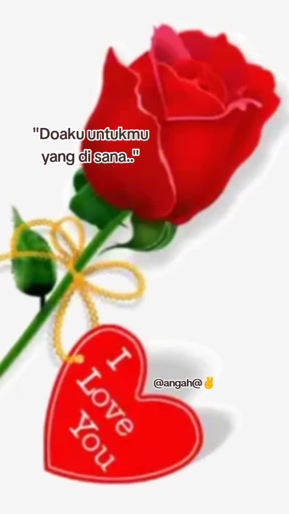 @@angah@✌️