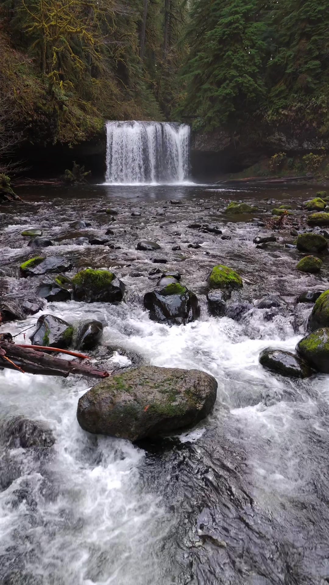 @Badassphotography_PNW
