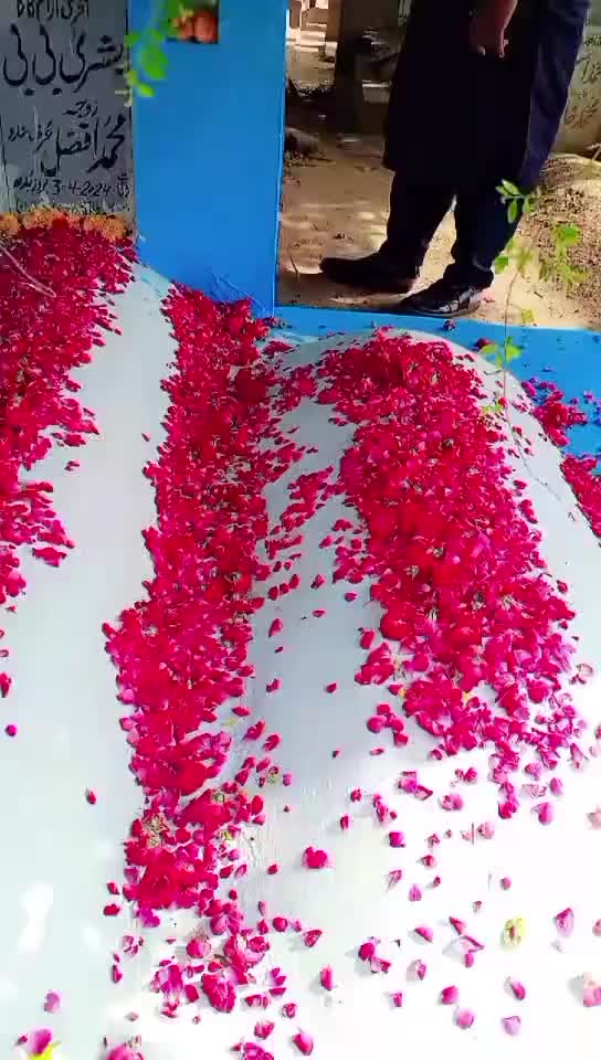 @shahbaz