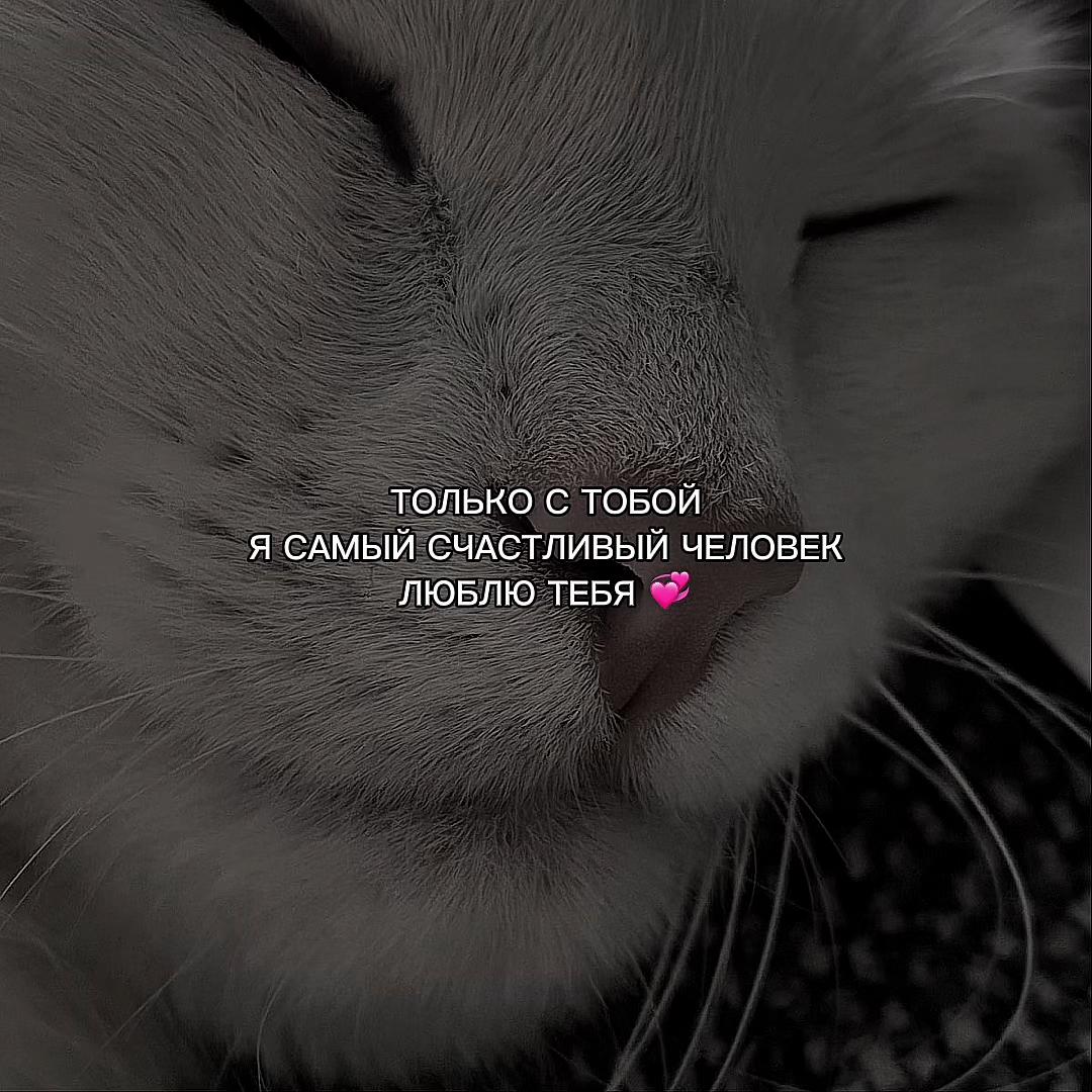 @ХХИКА