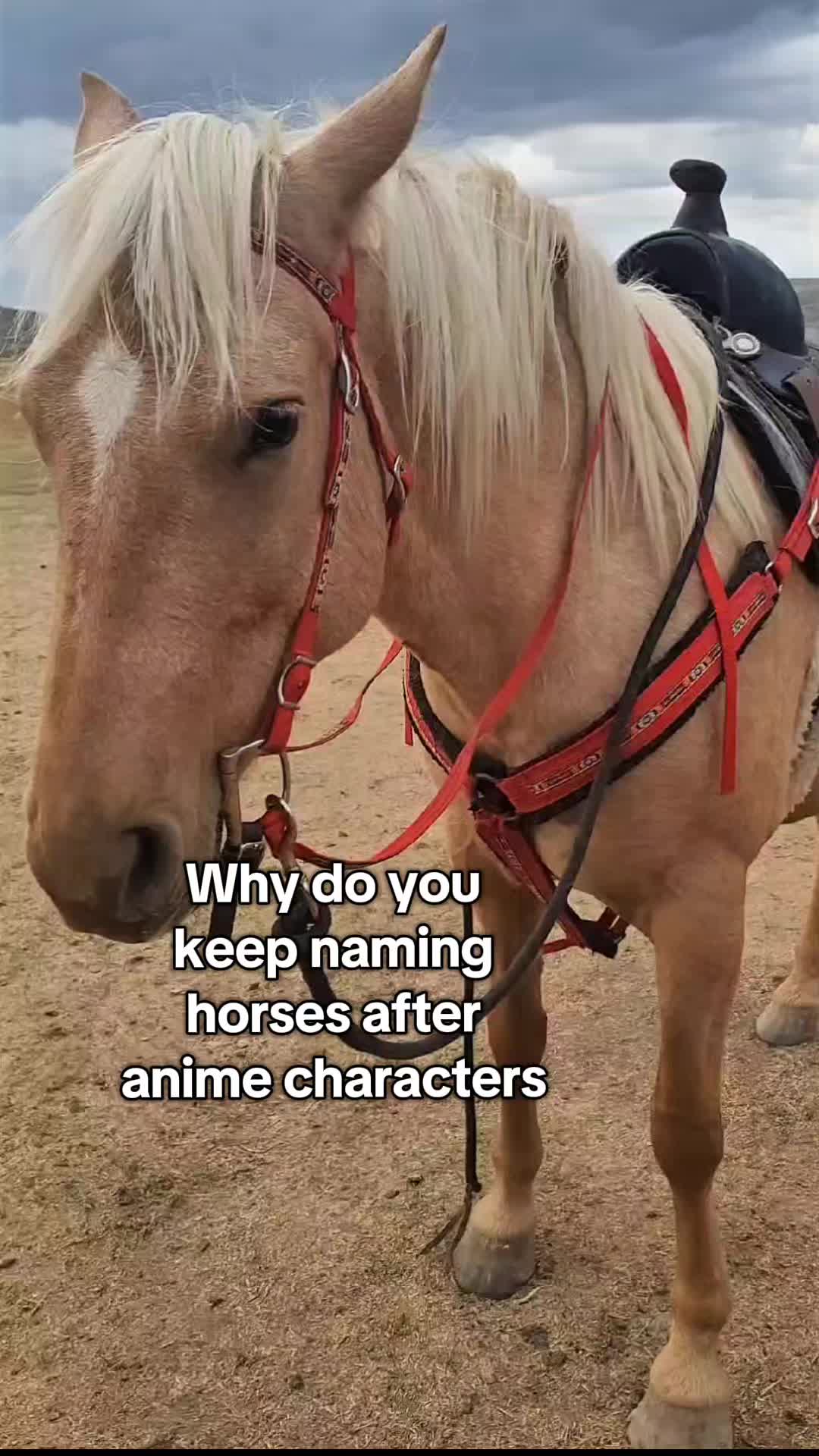 @KevinRaaamaaage