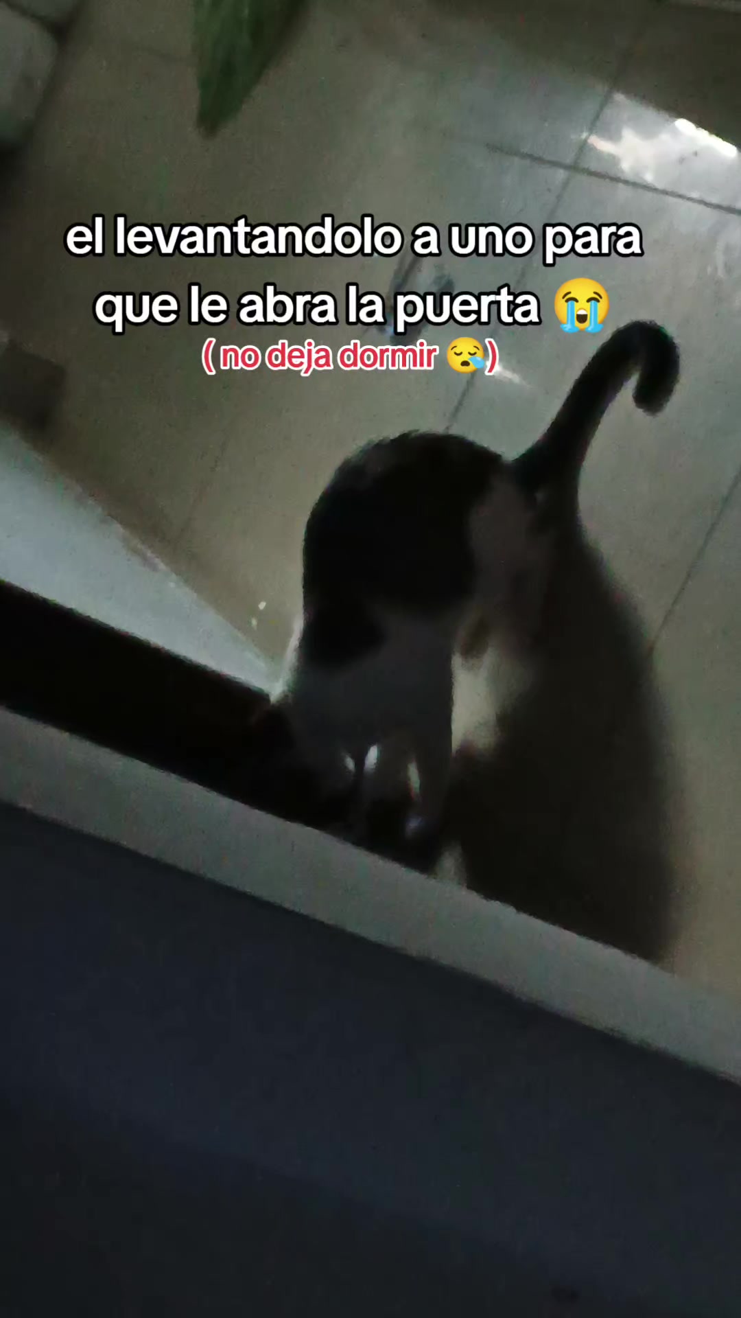@brayan Cardona😈