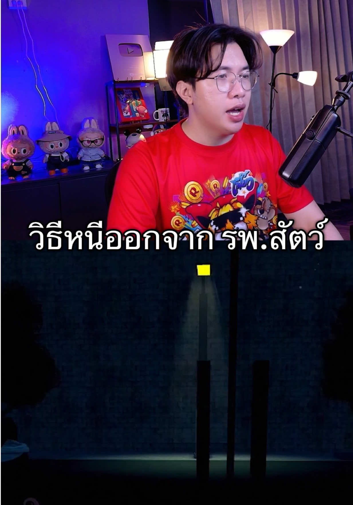 @TOR Torpedo