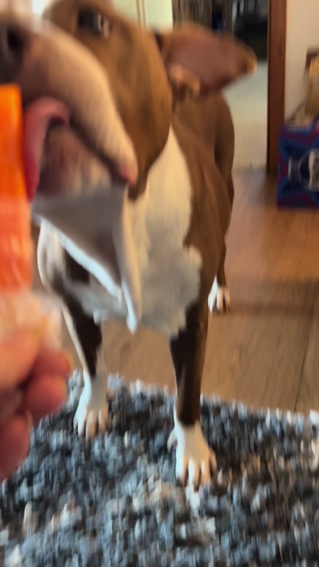 @K